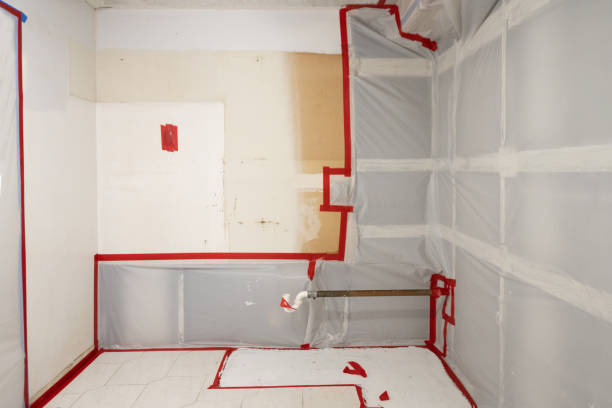 Best Commercial Mold Inspection  in Newport, VT