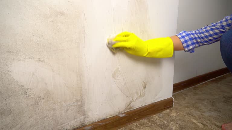 Best Biohazard Mold Removal  in Newport, VT